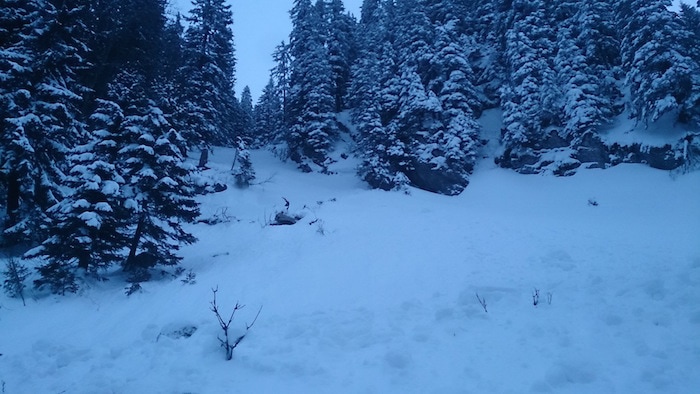 150201 Lawine Schneeberg 4