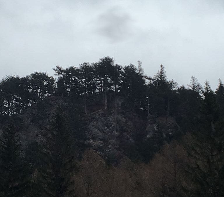 170305-EinsatzHengstwaende